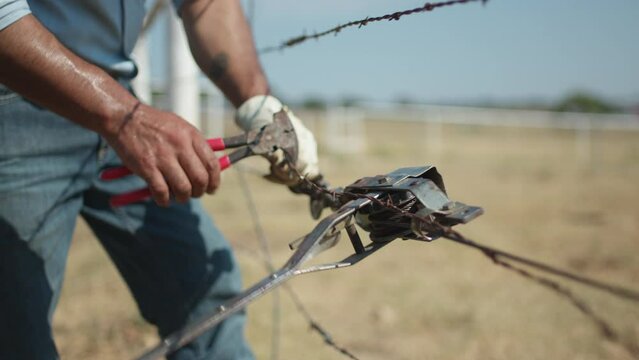 A rancher uses tools to repair a barbed wire fence on in a farm pasture