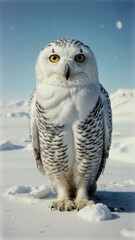 Serene Snowy Owl in Tundra