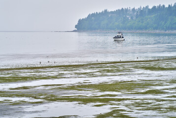 Anchored Boat White Rock BC. A boat anchored near the shore in White Rock BC. White Rock is a...