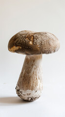 A still life of a single porobella mushroom against a white background. Copy space