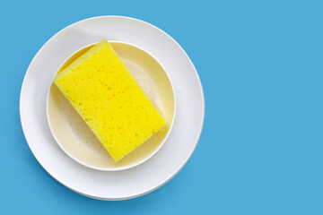Bowl and plate with cleaning spong. Washing dishes concept