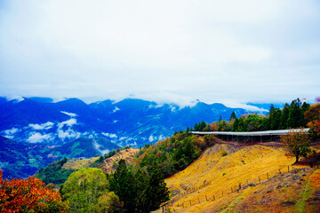 Naklejka premium ali shan mountain and qingjing farm landscape in Taiwan