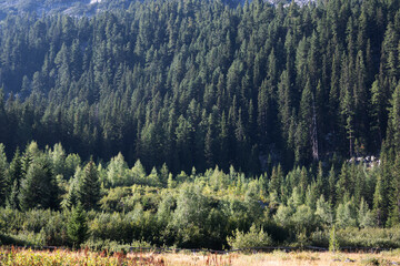 Landscape of area of Tiha Rila, Rila mountain, Bulgaria