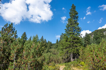 Landscape of area of Tiha Rila, Rila mountain, Bulgaria