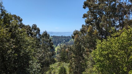 Bay area hike, Northern California