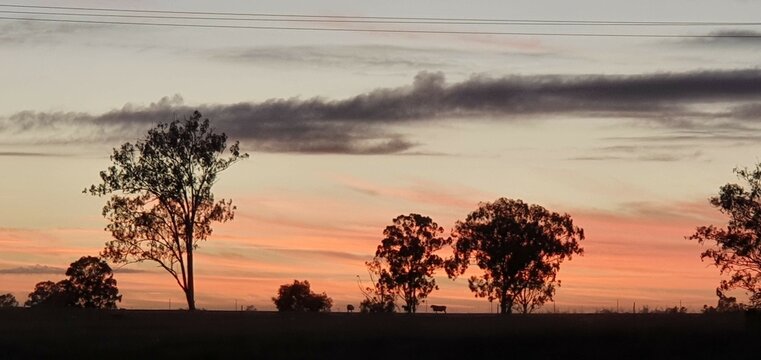 Morining, sunrise, early, Australian, sun, sky, orange, clouds, beautiful