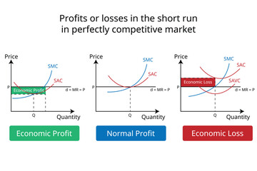 Profits or losses in the short run in perfectly competitive market graph in economics