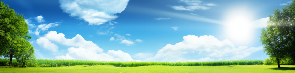 Fototapeta na wymiar Beautiful spring summer natural landscape. Green meadow or park grass on blue sky background with trees, sun and clouds on warm sunny day. Colorful bright nature panoramic banner with copyspace.