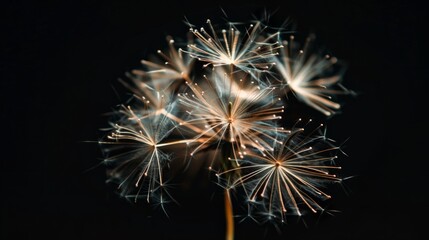 Fireworks. generative ai