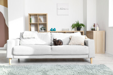 Cute black cat sitting on sofa in living room