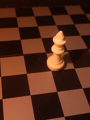 Lonely chess king on the board: symbol of vulnerability