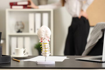 Spine model on table in office, closeup