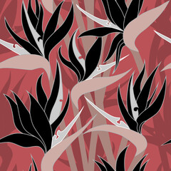 Vector seamless floral pattern with herbaceous plant of strelitzia. Watercolor illustration of plant of bird-of-paradis. For fabric, textile, wrapping paper, cover, package. Flowers and tropical leave