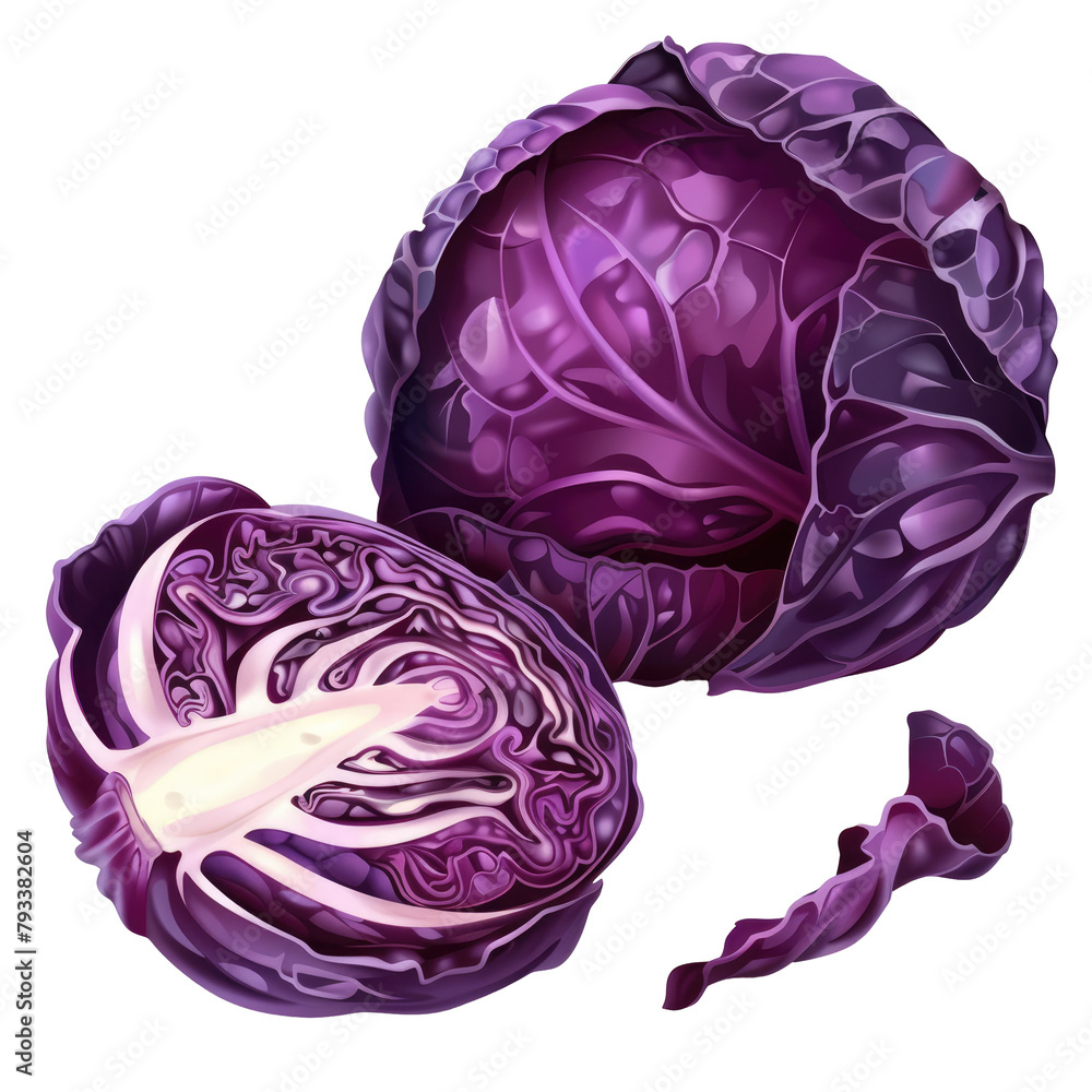 Poster an image of a purple cabbage and a slice set against a transparent background