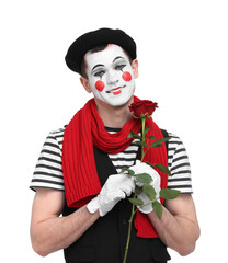Funny mime artist with red rose on white background