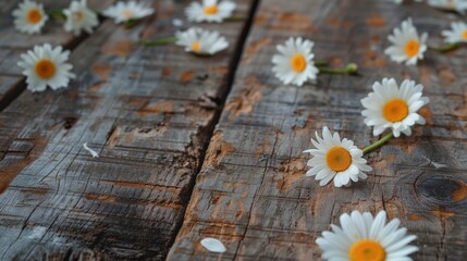Obraz premium Dainty daisies brightening up a rustic wooden table