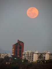 rose full moon in caracas, venezuela 04/23/24