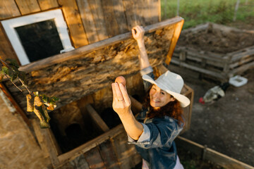 Happy middle-aged woman in a hat collects a fresh egg from a chicken coop at dawn. Country joy, woman with an egg in a country chicken coop.