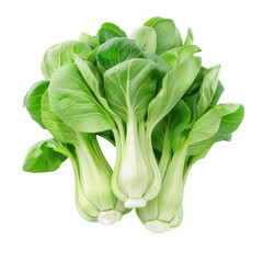 A vibrant cluster of fresh green baby bok choy set against a transparent background - obrazy, fototapety, plakaty