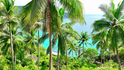 Breathtaking vista, Coconut palms sway alongside majestic rocks, framing crystalline waters from...