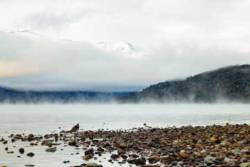 Fog mountains lake and a bird - Bariloche Argentina
