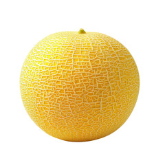 A vibrant yellow cantaloupe stands out against a clean transparent background perfectly isolated and cut out on transparent background