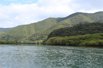 A panoramic view of mountains and dense forests from the river in Amami Oshima Island