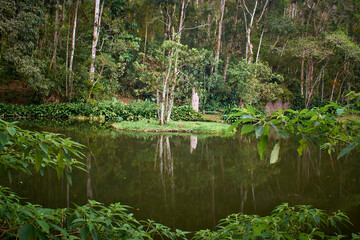 Açude da Solidão, Floresta da Tijuca, Rio de Janeiro.