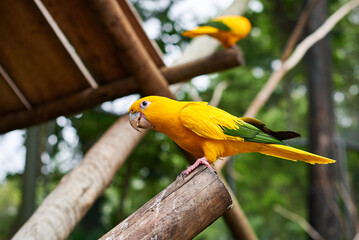 Bioparque do Rio de Janeiro