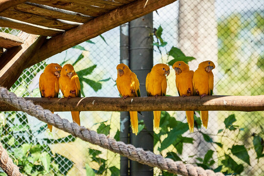 Bioparque do Rio de Janeiro