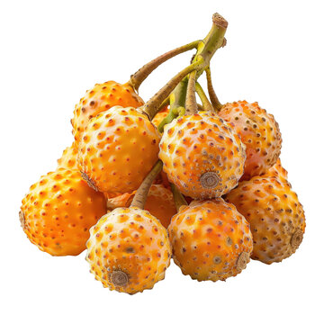 A cluster of Lanzones fruit set against a transparent background