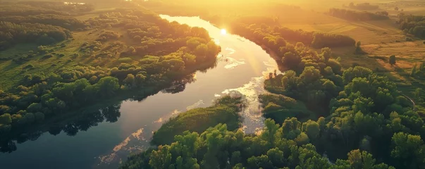 Tuinposter An aerial view of a river flowing through a green forest at sunset. © Nawarit