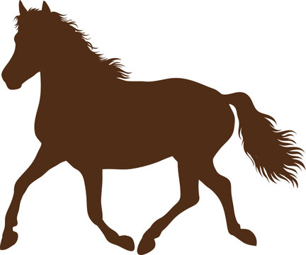 Kuda, Keledai, Zebra, Kuda Poni,
Horse, Donkey, Zebra, Pony,
Cavalo, Burro, Zebra, P&ocirc;nei,
Pferd, Esel, Zebra, Pony,
Paard, Ezel, Zebra, Pony,
Caballo, Burro, Cebra, Poni
