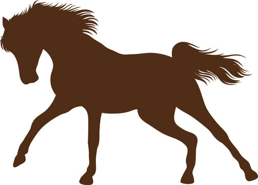 Kuda, Keledai, Zebra, Kuda Poni,
Horse, Donkey, Zebra, Pony,
Cavalo, Burro, Zebra, P&ocirc;nei,
Pferd, Esel, Zebra, Pony,
Paard, Ezel, Zebra, Pony,
Caballo, Burro, Cebra, Poni
