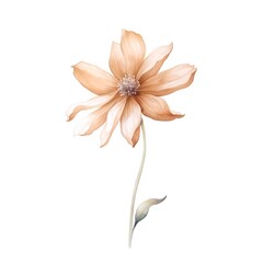 Beautiful watercolor image of an orange flower on a white background