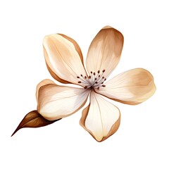 Beautiful watercolor illustration with magnolia flower on white background.