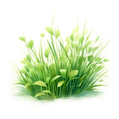 Green grass isolated on white background. Watercolor illustration. Vector.