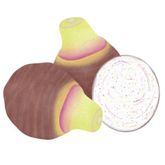 Taro root. Whole, half and slices. colocasia esculenta, satoimo. Chinese and japanese vegetable. Asian cuisine ingredient. Healthy vegetarian food.illustration design.
