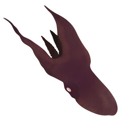 Blanket Octopus, Deep sea creature,illustration cartoon design.