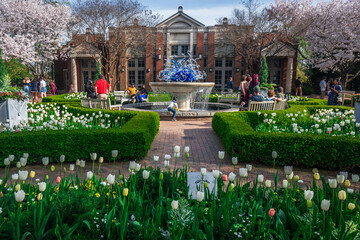 Spring Walking in Mershon Hall, Atlanta Botanical Garden, Atlanta, Georgia