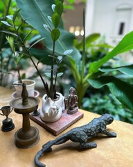 Decoration of houseplants on wooden table. Selective focus.