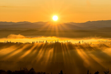 Sunrise over a foggy valley, sun rays cut through trees, orange dawn morning light, forest haze