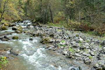 The sterile stream of a stormy mountain river, bending around the stones in its bed, flows through...