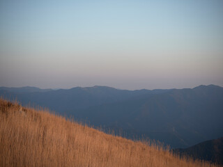 Fototapeta premium 薄く色づく空とススキ
