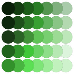 Green gradient circles array. Spectrum of green color palette. Round shapes collection. Vector illustration. EPS 10.