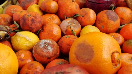 Agricultural waste, Leftovers for Livestock