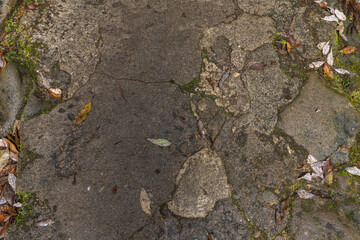 石の道に落ち葉