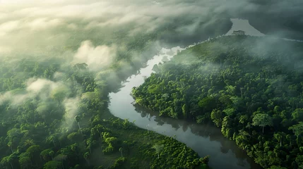 Fotobehang A serene river winding through the fogcovered rainforest, reflecting the urgent need for conservation efforts to protect these invaluable habitats © JK_kyoto
