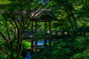 Teisha Bridge, Sankeien Garden, Japan