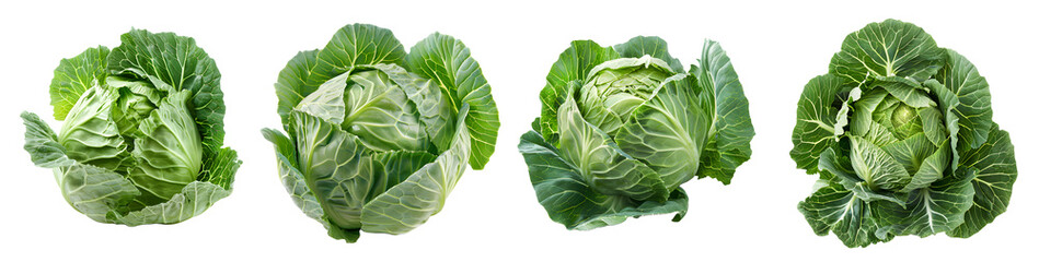 fresh cabbage isolated on a transparent PNG background, white background , cut out, clipping path, Generative Ai